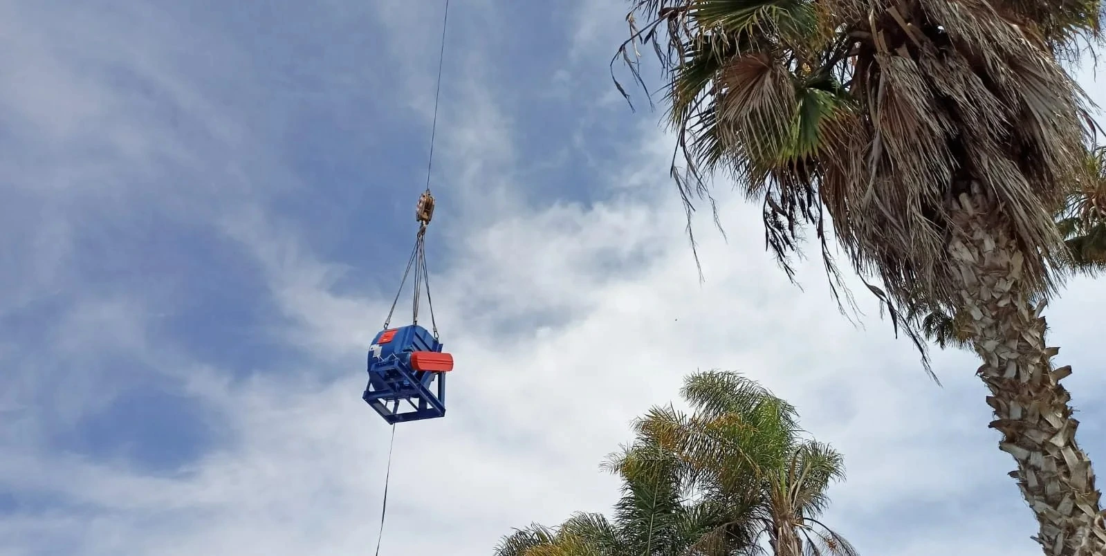 WhatsApp Image 2026-01-21 at 15.14.31